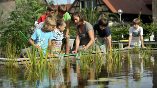 Eine Schülergruppe untersucht den Teich.
