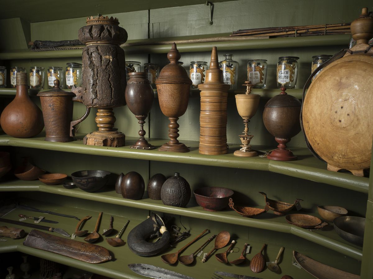 Es sind Objekte in einem Schrank in der Kunst- und Naturalienkammer zu sehen. (Poster)