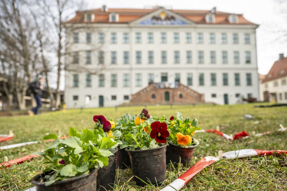 Frühblüher stehen auf der Wiese vor dem Waisenhaus