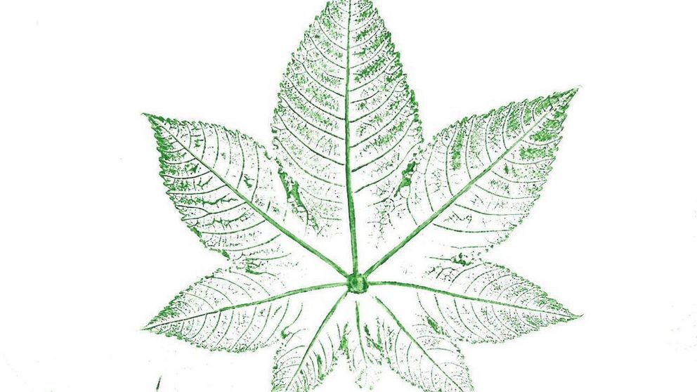 A fallen autumn leaf painted and pressed onto paper to create a decorative leaf print as a creative nature project