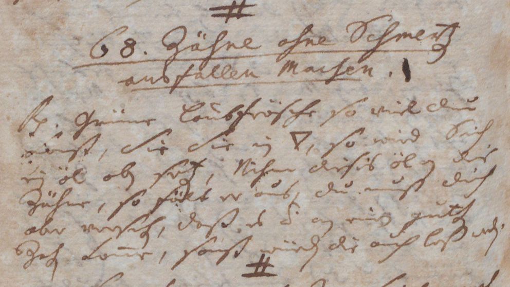 Bild einer alchemischen Handschrift