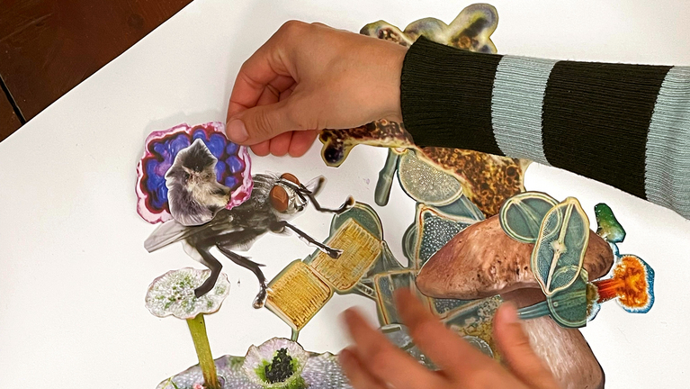 zwei Hände legen eine Collage aus bunten Papier-Elementen auf ein weißes Blatt