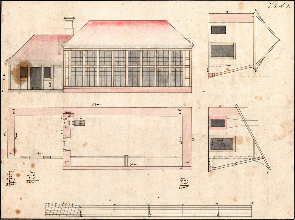 Ansicht, Querschnitte und Grundriss vom Gewächshaus (Orangerie) im Baumgarten.