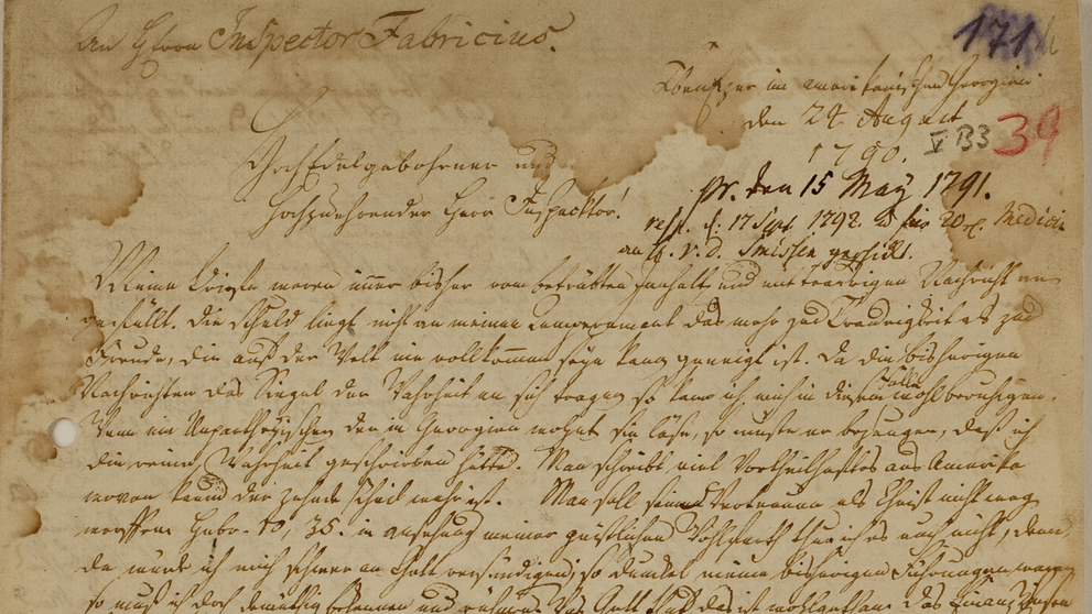 Letter from Johann Ernst Bergmann