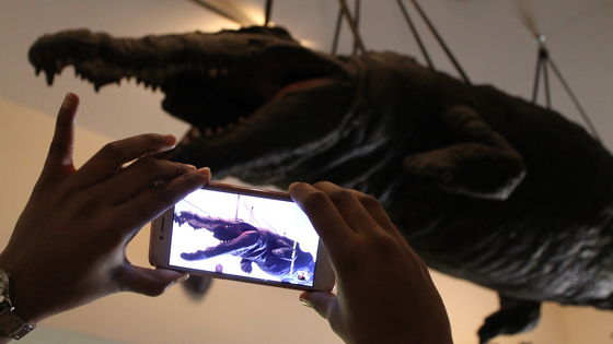 Das ausgestopfte Krokodil in der Wunderkammer im Hintergrund ist auf einem Handydisplay im Vordergrund zu sehen.