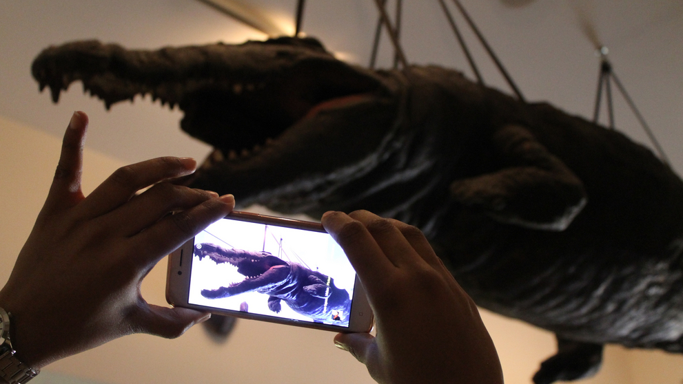 Das ausgestopfte Krokodil in der Wunderkammer im Hintergrund ist auf einem Handydisplay im Vordergrund zu sehen.
