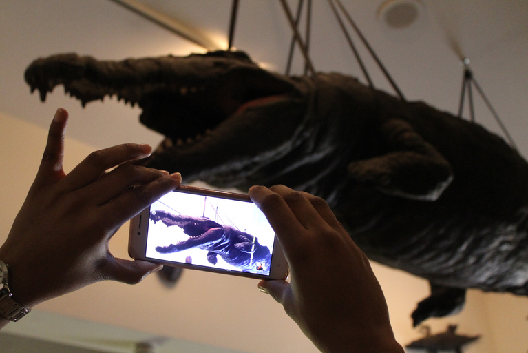 Das ausgestopfte Krokodil in der Wunderkammer im Hintergrund ist auf einem Handydisplay im Vordergrund zu sehen.