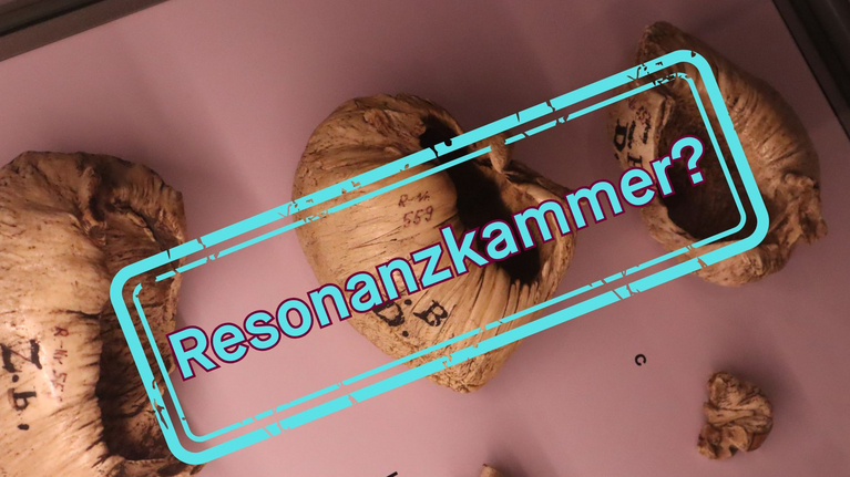 © Barbara Werner / Vermittlung Franckesche Stiftungen