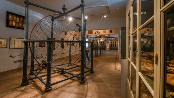 Blick in die Kunst- und Naturalienkammer mit dem Weltenmodell und den historischen Sammlungsschränken.