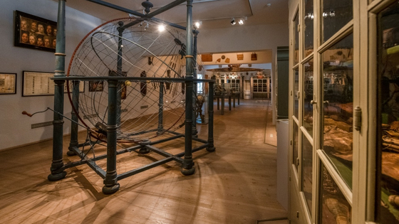 Blick in die Kunst- und Naturalienkammer mit dem Weltenmodell und den historischen Sammlungsschränken.