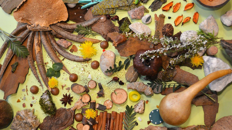 Ein Sammelsurium aus Naturobjekten, ein Suchbild