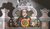 Die Bekrönungsmalerei des Pflanzenschranks in der Wunderkammer