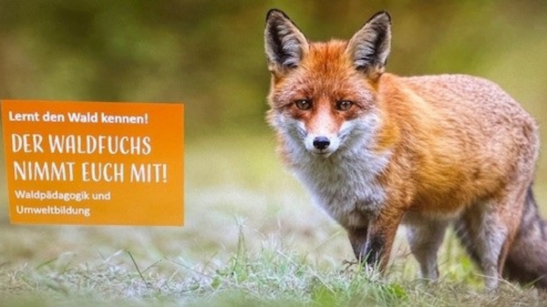 Waldfuchsprojekt