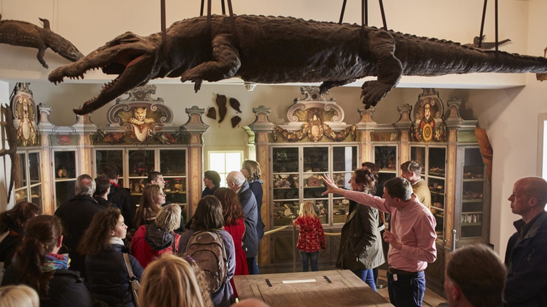 Viele Menschen nehmen an einer Führung durch die Wunderkammer teil und lassen sich Kuriositäten wie das Krokodil erklären.