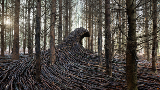 Eine gewaltige, aus Holzstämmen gebaute Welle mitten im Wald