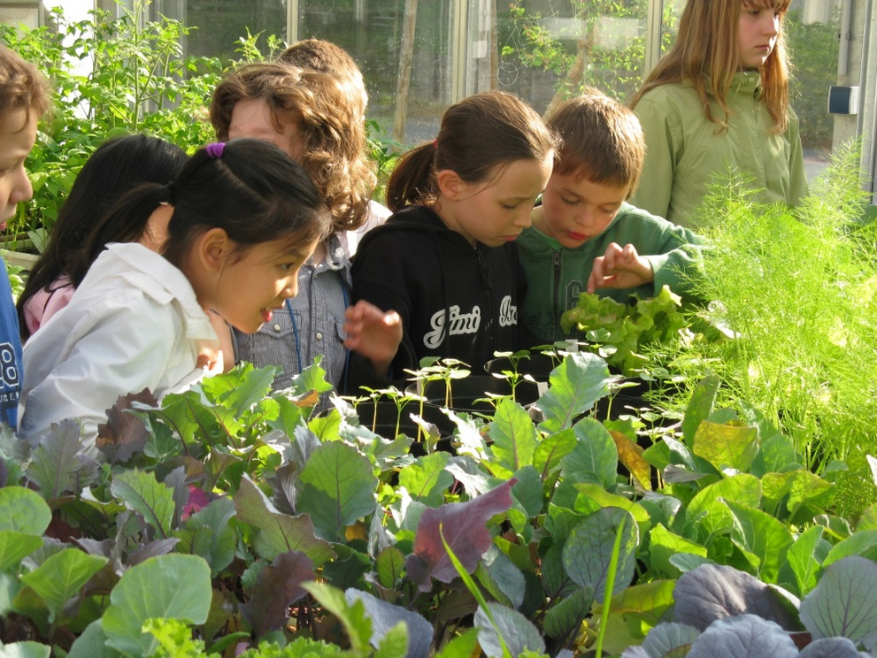 Kinder bestaunen im Gewächshaus des Pflanzgartens die frisch gezogenen Keimlinge.