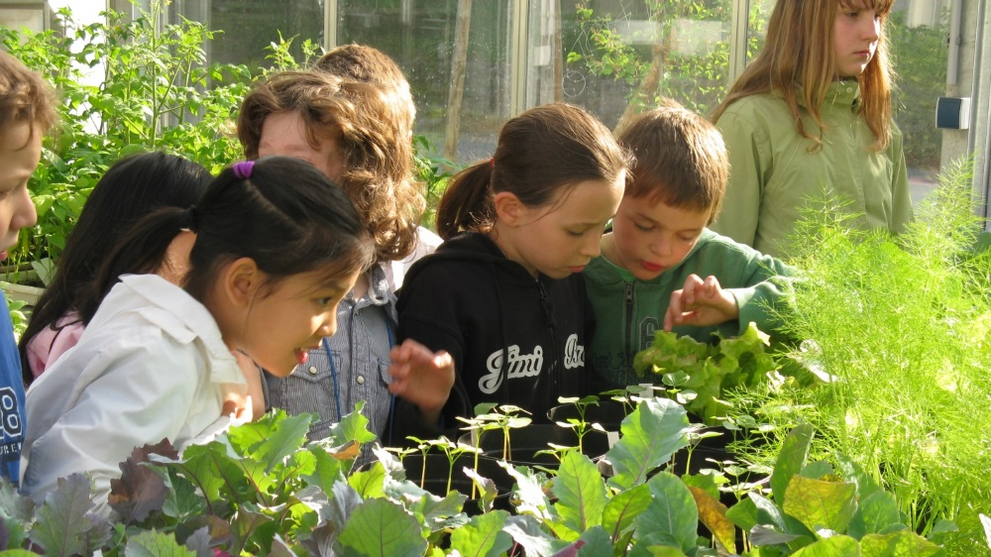 Kinder bestaunen im Gewächshaus des Pflanzgartens die frisch gezogenen Keimlinge.