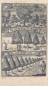 Titelblatt: Freyer, Hieronymus: Nützliche und nöthige Handleitung Zu Wohlanständigen Sitten […] Zum Gebrauch des Paedagogii Regii zu Glaucha an Halle abgefaßet. Halle: Waysenhaus, 1706.