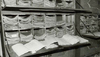 historical archival chests