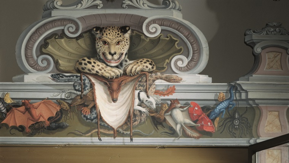 Im Animalienschrank der Wunderkammer sind allerlei Tiere in konserviert, auch Hörner, Panzer und Krallen.